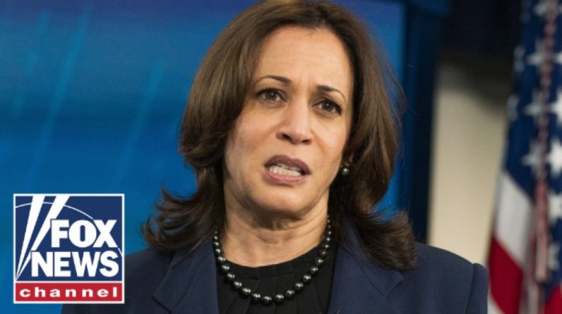 Kamala Harris messes up everything she touches: Rep. Biggs