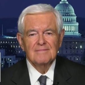Newt Gingrich: Biden is rejecting reality