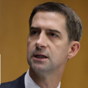 Tom Cotton rails against AG Garland: 'You should resign in disgrace'