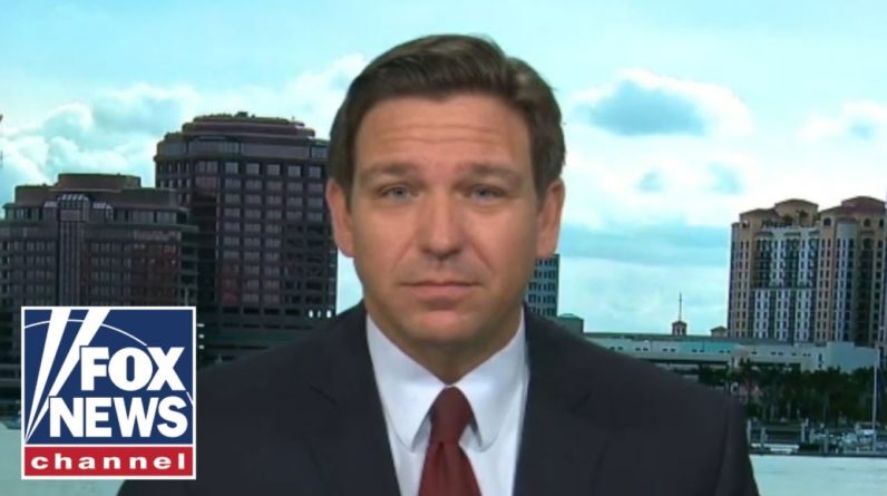 DeSantis: Americans are rebelling against the Democratic Party