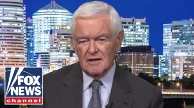 Newt Gingrich explains why Democrats aren't the party of parents