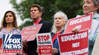 Political correctness is destroying the US education system: Laura Zorc