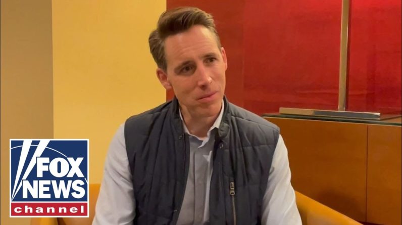 Sen. Hawley slams liberal media: They want to be ‘gatekeepers’ of speech