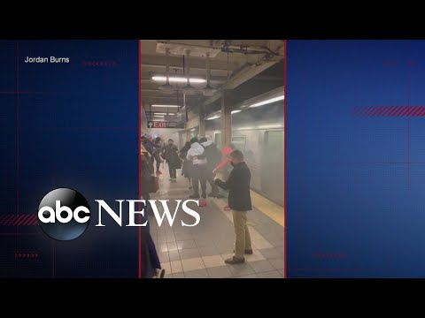 Social media reveals details on Brooklyn subway shooting suspect I ABCNL