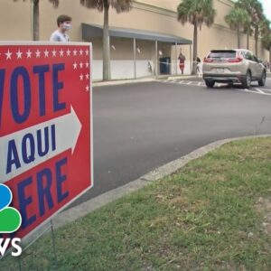 Critics Question Florida's New 'Election Police Force'