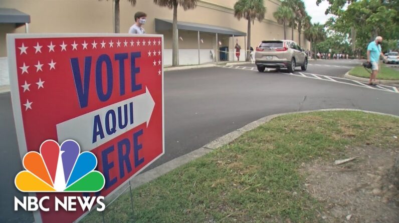 Critics Question Florida's New 'Election Police Force'