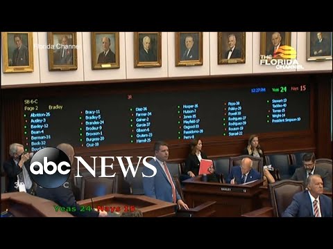 Florida Senate votes to end Disney self-governing l WNT