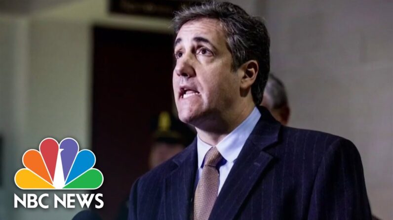 Cohen Claims Trump Knew About Altercation Between Security, Protesters In 2015