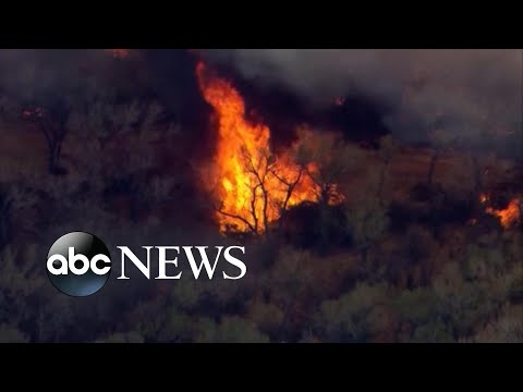 Nearly 13 wildfires burn across 4 states, hundreds forced to evacuate l WNT