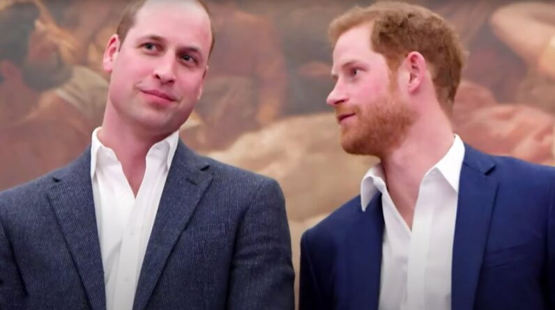 Why Prince Harry Wants a Mediator to Improve Relationship With Prince William