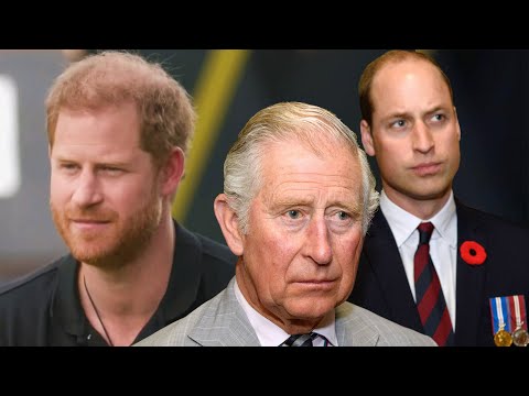 Prince Harry DODGES Question About Relationship With Dad and Brother