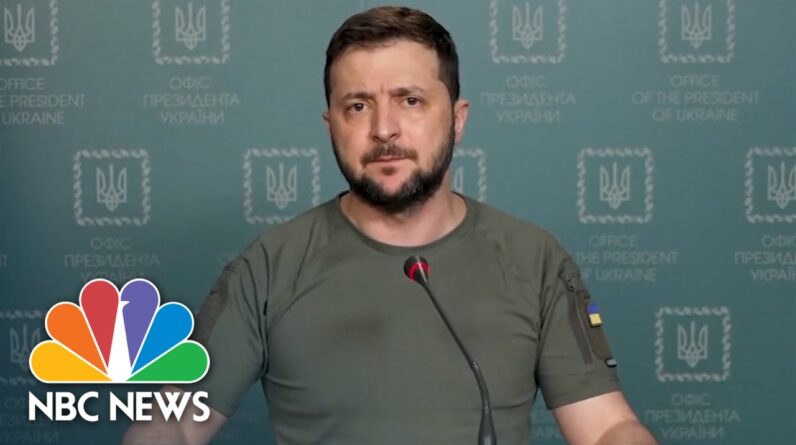 Zelenskyy Claims Russia Launched Missiles That Flew Over Three Nuclear Plants