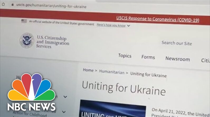 Ukrainians Seeking Asylum In The U.S. Face Painstaking Process, Family Says