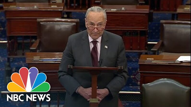 Schumer Calls Reported Supreme Court Vote To Overturn Roe v. Wade 'An Abomination'
