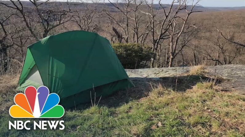 Boy Scout Wakes Up In Bear's Jaws During Campout At New York Park