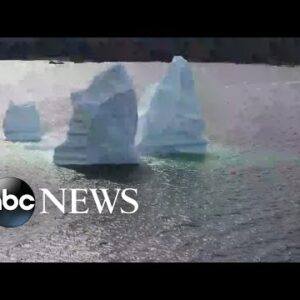 Drone captures spectacular view of iceberg l ABC News