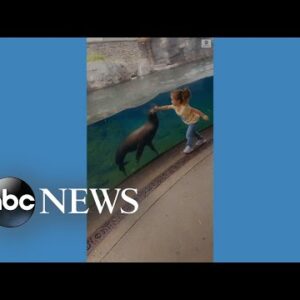 Girl bonds with sea lion at zoo