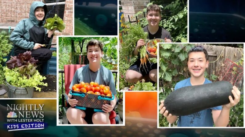 Giving Gardens: Teen Grows Produce To Feed Hungry Families