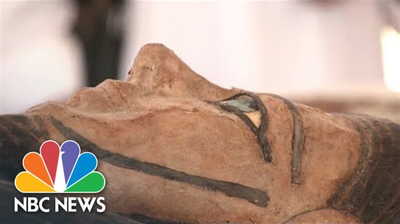 Hundreds Of Ancient Egyptian Sarcophagi Discovered