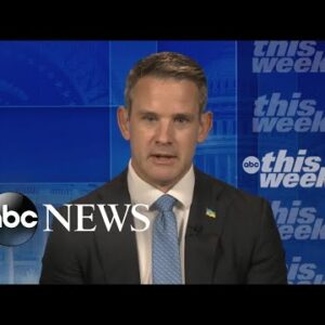 NRA has gone from defending rights of gun owners to a 'grifting scam': Kinzinger | ABC News