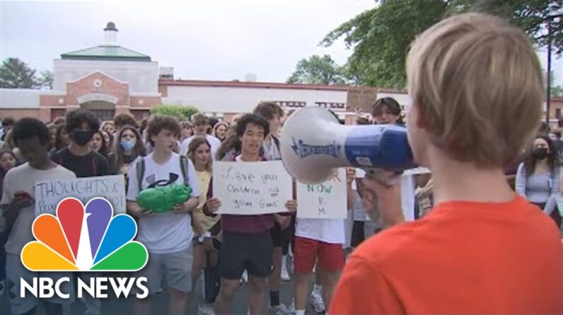 'Are We Next?':  Virginia Students Rally For New Gun Laws Following Texas Shooting