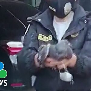 Pigeon Suspected Of Smuggling Drugs Captured At Peruvian Prison