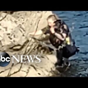 Police officer rescues dog from river