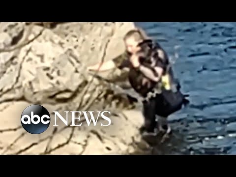 Police officer rescues dog from river