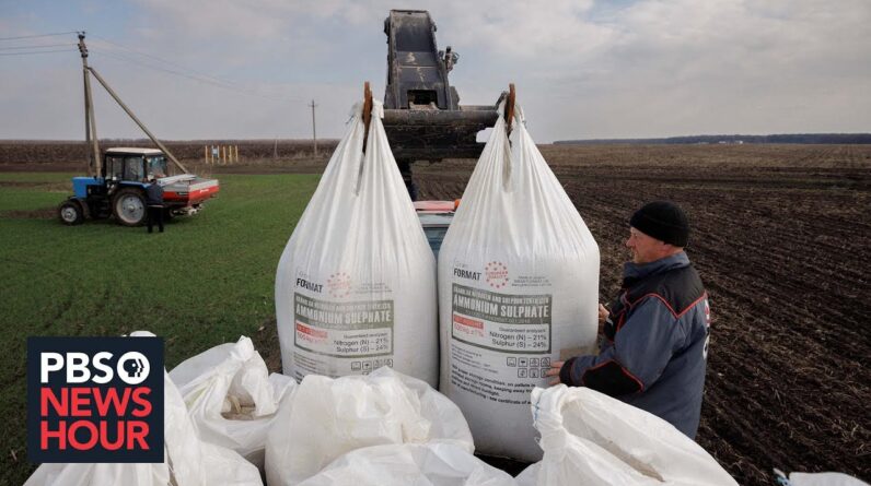 Russia's war in Ukraine could lead to a global food crisis