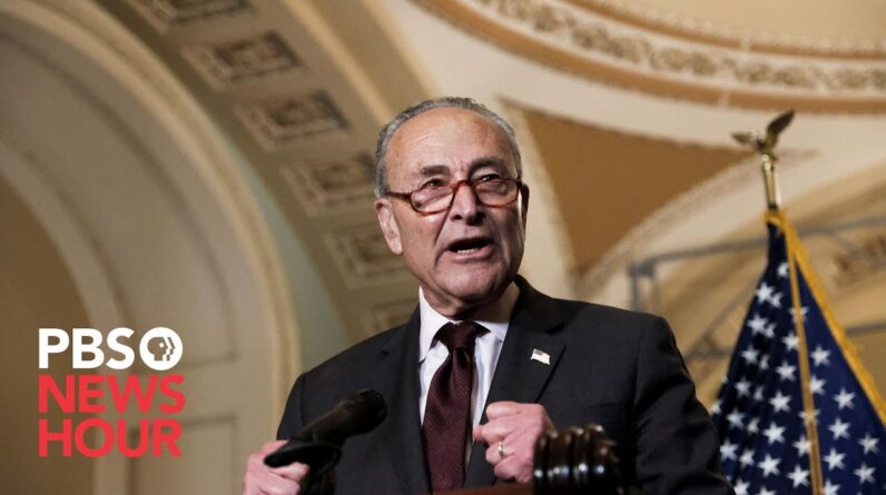 WATCH: Schumer holds news briefing to discuss plan to codify Roe into law