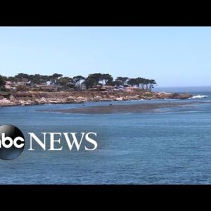 Surfer suffers ‘significant’ injury during shark attack at California beach l ABC News