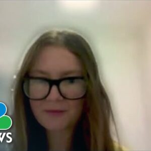 Anna Sorokin Gives Interview From Inside ICE Detention Facility