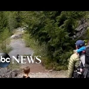 Bear stalks family along hiking trail