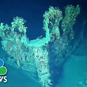 Centuries-Old Shipwrecks Containing Gold Coins Found Off Colombia