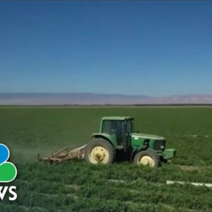 Drought Causes California Farmers To Struggle With Crops