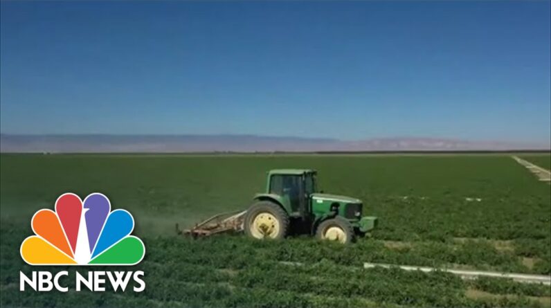 Drought Causes California Farmers To Struggle With Crops
