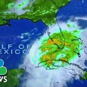 Forecast: Florida On Alert Ahead Of Tropical Storm Alex