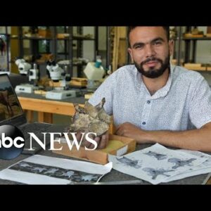 Fossil of 98-million-year-old dinosaur unearthed in Egypt