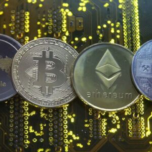 Future of cryptocurrencies in question after plunge in value