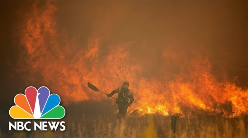 Heat Wave In Spain Sparks Raging Wildfires