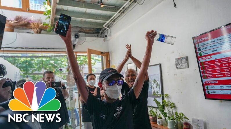 High Fives As Thailand Legalizes Marijuana Possession, Cultivation