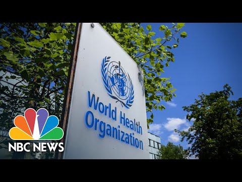 WHO Meets To Determine If Monkeypox Is A Global ‘Public Health Emergency’