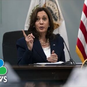 Vice President Harris To Tackle Immigration Surge During Summit Of The Americas