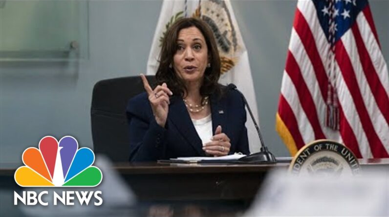 Vice President Harris To Tackle Immigration Surge During Summit Of The Americas