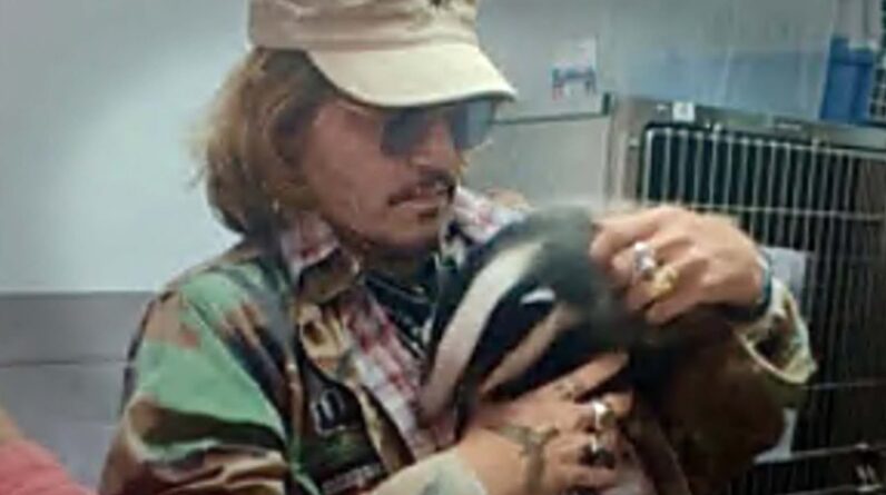 Johnny Depp CUDDLES a Badger After Defamation Trial Win