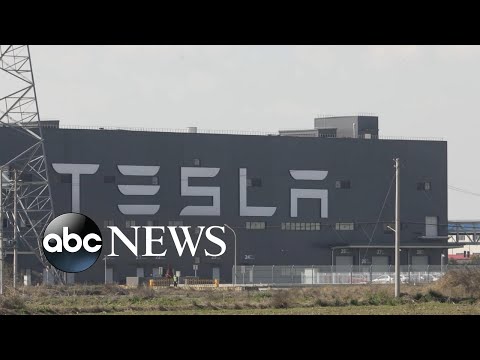 Former employees file lawsuit against Tesla for allegedly violating federal law