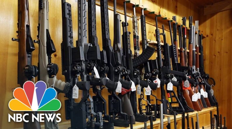 Senators Making Progress On Gun Reform Legislation Negotiations