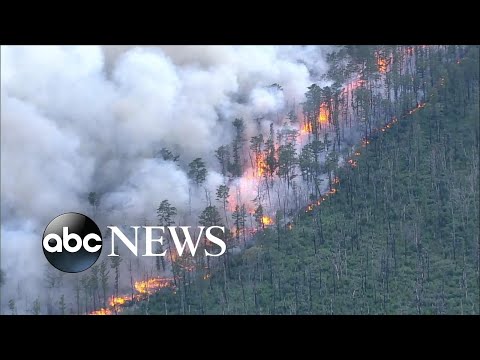 Thousands of acres burned in southern New Jersey wildfire