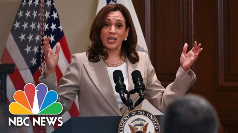 VP Harris Launches Task Force To ‘Address Online Harassment And Abuse’