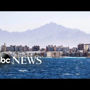 2 women killed in shark attacks in Egypt’s Red Sea